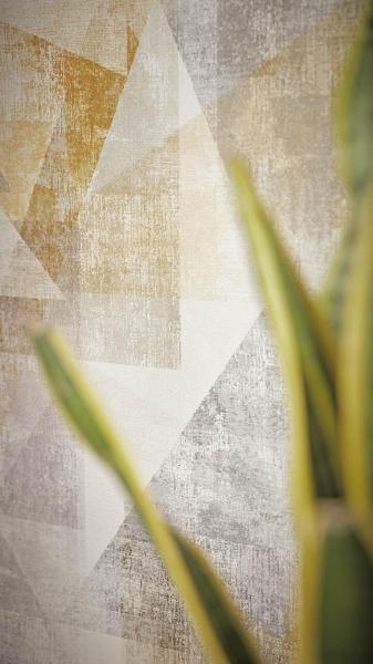 Фото Rasch Linares 617948