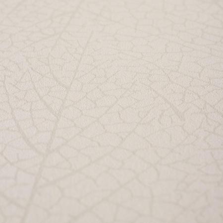 Фото – обои Graham & Brown 32-249 || Graham & Brown 32-249