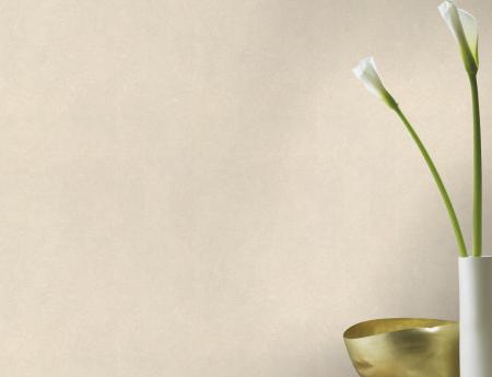 Фото – обои Rasch B.B Home Passion 6 860122 || Rasch B.B Home Passion 6 860122