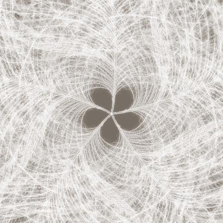 Komar XXL4-006 (Federstern)