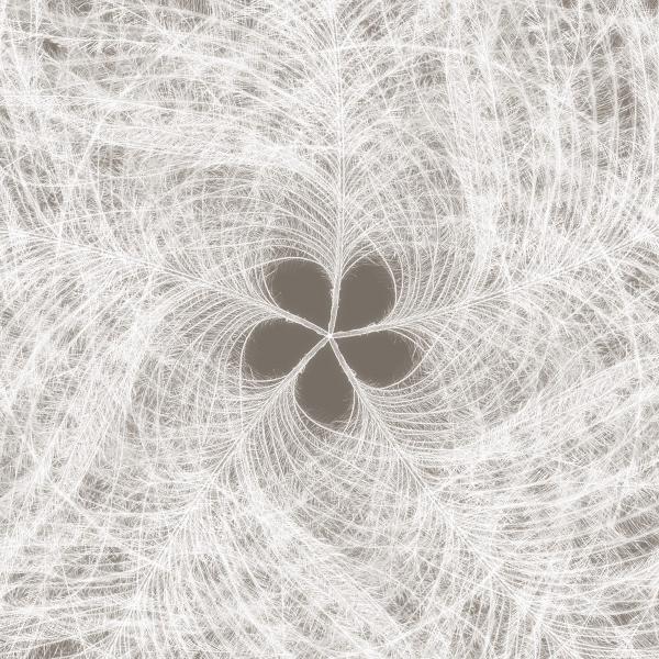 Komar XXL4-006 (Federstern)