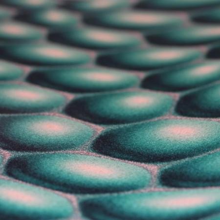 Фото – обои A.S.Creation Mac Stopa 32720-4 || A.S.Creation Mac Stopa 32720-4