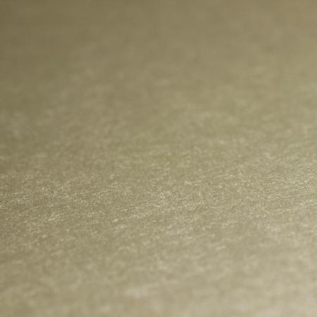 Фото – обои Rasch Emilia 501155 || Rasch Emilia 501155