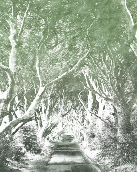 Komar 6024B-VD2 (Alley Graphite)