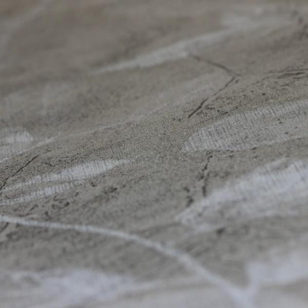 Фото A.S.Creation New Look 32447-1