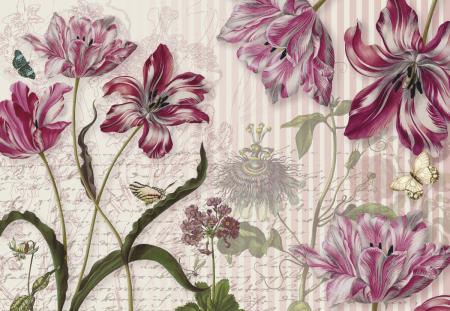 Komar 8-510 (Merian)