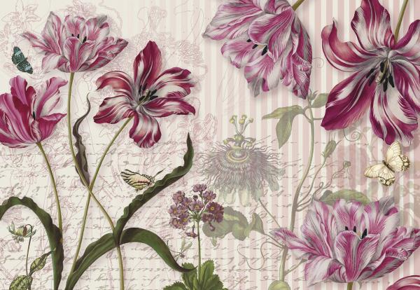 Komar 8-510 (Merian)