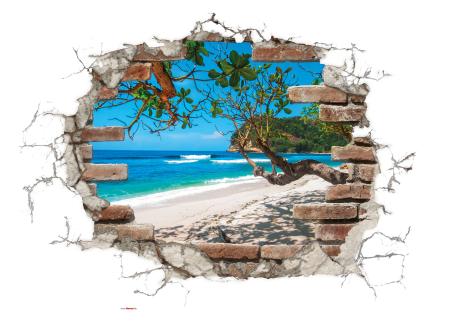 Komar 17054h (Break Out)