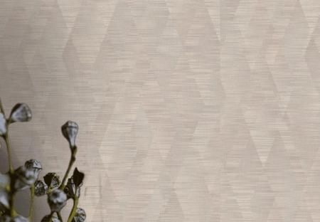 Фото – обои Rasch Axiom 960808 || Rasch Axiom 960808