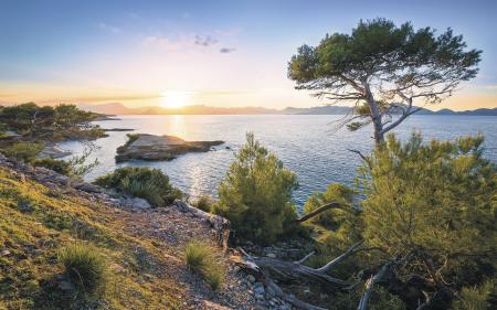 Komar SH063-VD4 (Southern Light)