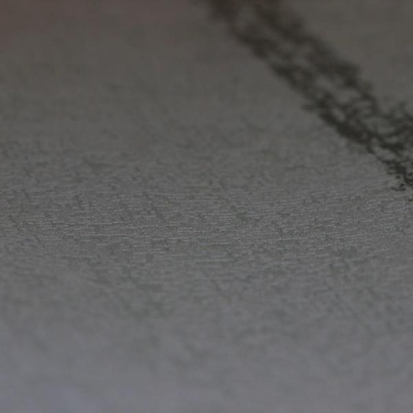 Фото A.S.Creation Midlands 31965-4