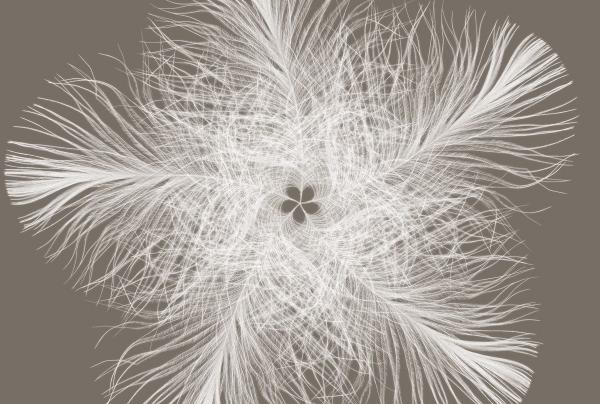 Komar XXL4-006 (Federstern)