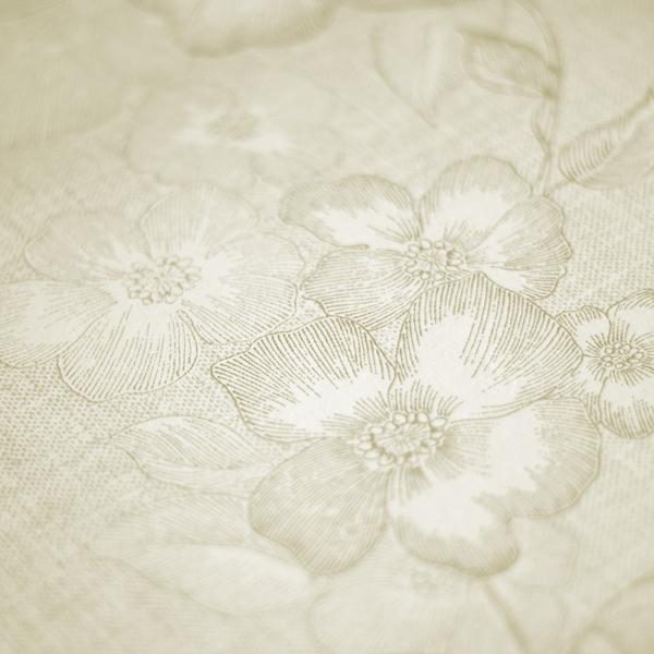 Фото P+S International Deluxe by GMK 41002-20