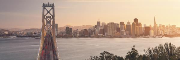 Komar SH012-VD1 (California Dreaming)