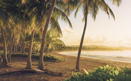 Komar SH064-VD4 (Golden Lands)