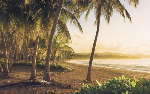 Komar SH064-VD4 (Golden Lands)