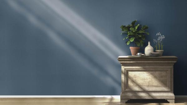 Фото Rasch Salsa 531381