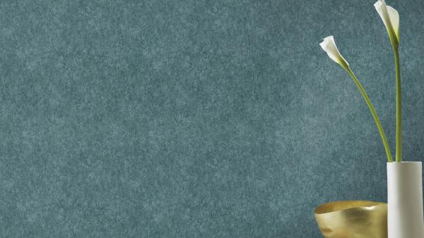 Фото Rasch Linares 617153