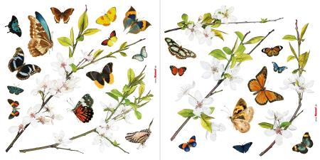 Komar 16006 (Cheerful)