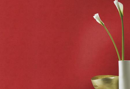 Фото – обои Rasch Kimono 408195 || Rasch Kimono 408195