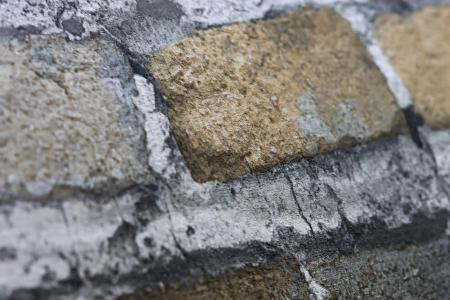 Фото – обои Rasch Salsa 480535 || Rasch Salsa 480535