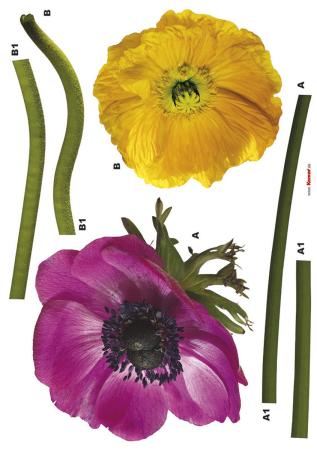Komar 17012h (Anemone)