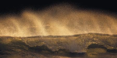 Komar SH006-VD1 (Golden Wave)