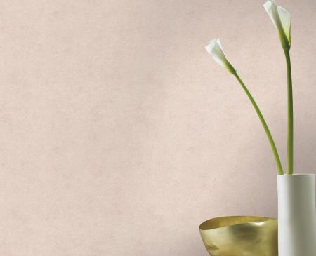 Фото – обои Rasch Kimono 408140 || Rasch Kimono 408140