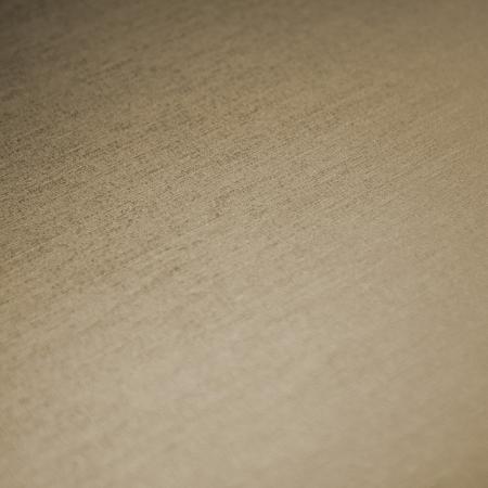 Фото – обои P+S International Deluxe by GMK 41000-80 || P+S International Deluxe by GMK 41000-80