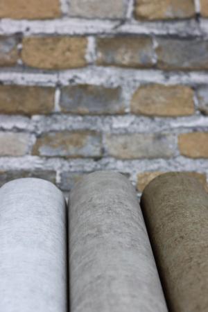 Фото – обои Rasch Salsa 480535 || Rasch Salsa 480535