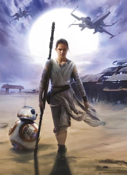 Komar 4-448 (Star Wars Rey)