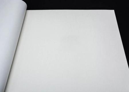 Erismann Martinique 12193-26 (10393-26)