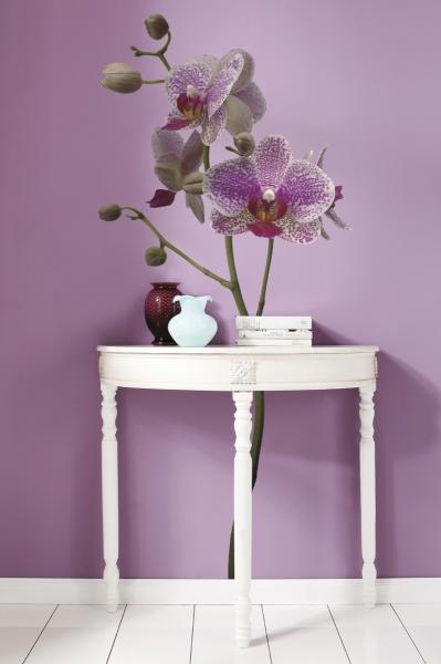 Komar 17702h (Orchidee)