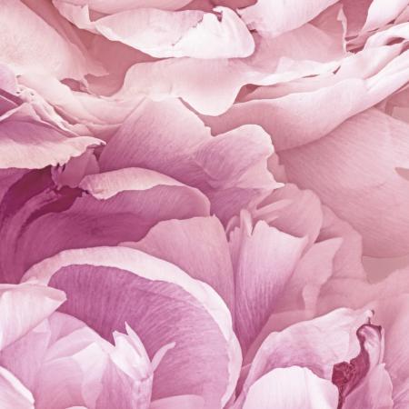 Komar XXL2-009 (Soave)