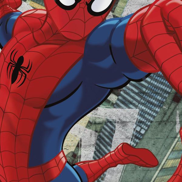 Komar 8-467 (Spider-Man Concrete)