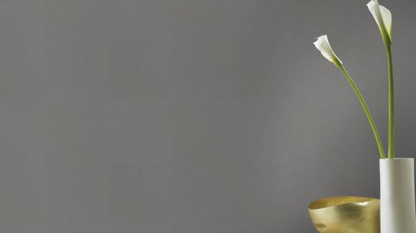 Фото Rasch Club Botanique 537932