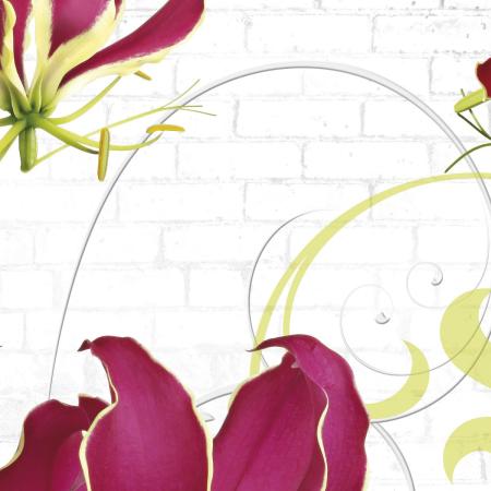 Komar 8-899 (Gloriosa)