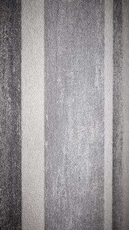 Rasch Linares 617788