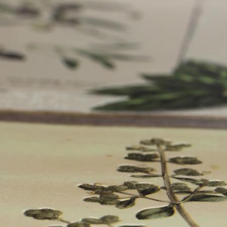 Фото – обои Rasch Deco Relief 307207 || Rasch Deco Relief 307207