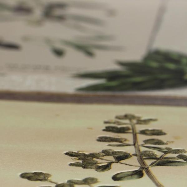 Фото Rasch Deco Relief 307207