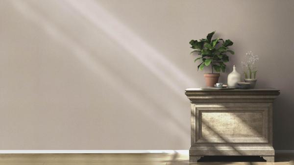 Фото Rasch Vitrage 975567