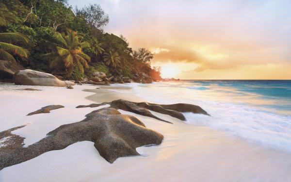 Komar SH089-VD4 (Nature)