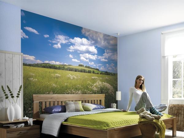 Komar 8-254 (Meadow)