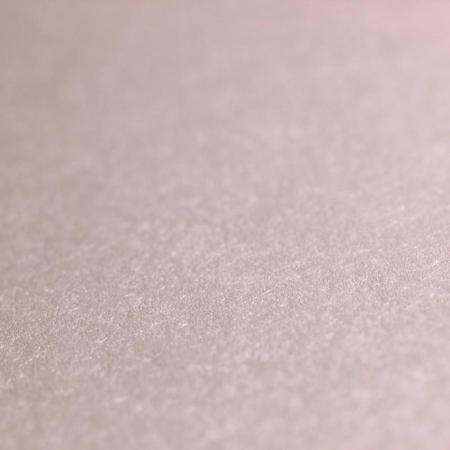 Фото – обои Rasch Emilia 501148 || Rasch Emilia 501148