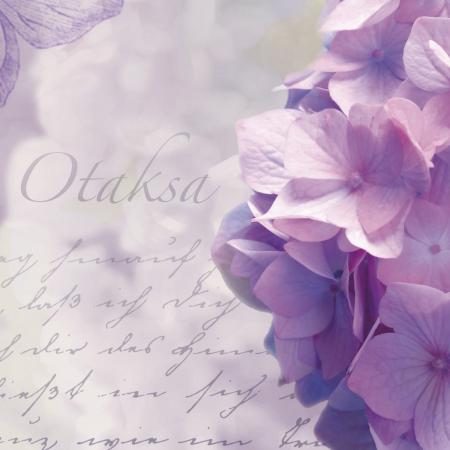 Komar 8-705 (Otaksa)