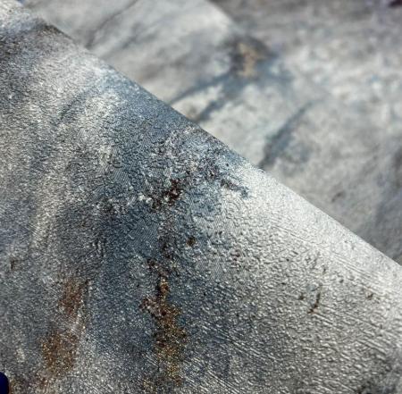 Фото – обои Rasch Riva 972245 || Rasch Riva 972245