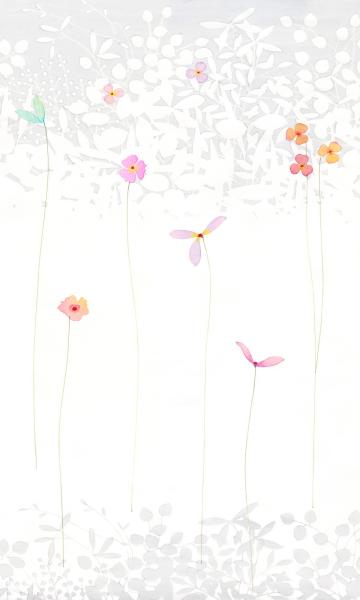 Komar V3-781 (Satomi)