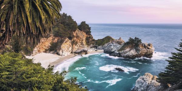 Komar SH010-VD1 (Paradise Falls)