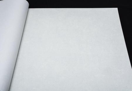 Фото – обои A.S.Creation History of Art 37656-9 || A.S.Creation History of Art 37656-9