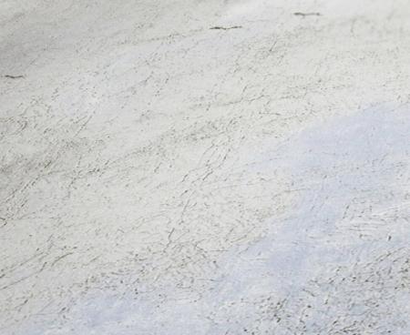 Фото – обои A.S.Creation History of Art 37649-3 || A.S.Creation History of Art 37649-3